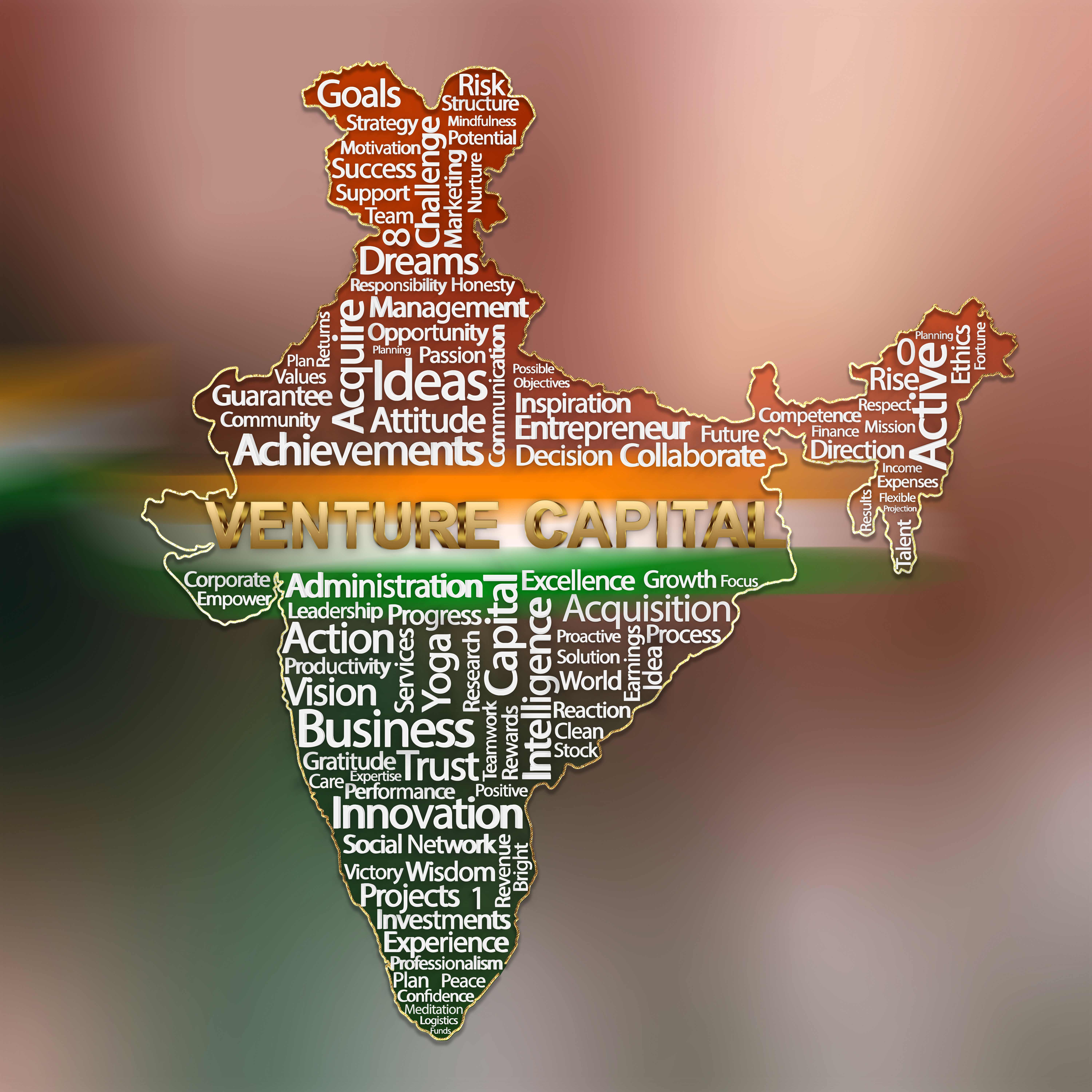 Indian Venture Capital Word Cloud